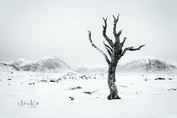 Glencoe sentinel, Glencoe, Scotland