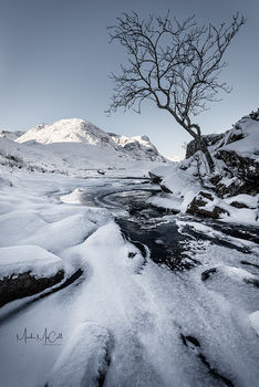 Tree and Sisters, Glencoe, Scotland