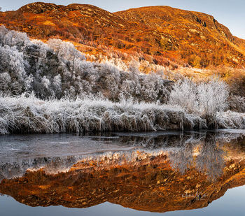 Changing seasons, Scottish highlands