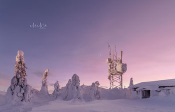 Narnia at dusk, Arctic Finland