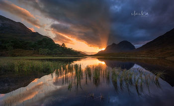 Loch Clair Gold, Torridon, Scotland