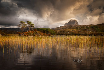Suilven, reeds, and trees, Assynt, Scotland