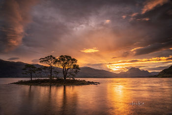The Island, Loch Maree, Wester Ross, Scotland