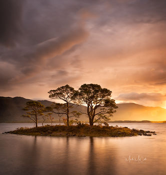 Island of trees at sunrise, Loch Maree, Wester Ross, Scotland