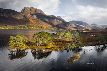 Loch Maree Pines and reflections, Wester Ross, Scotland