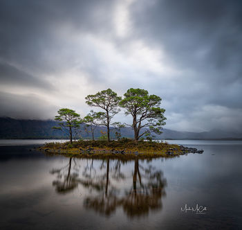 Island of trees and reflections, Loch Maree, Wester Ross, Scotland