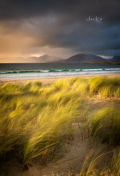 Golden light, Luskentyre, Harris, Outer Hebrides
