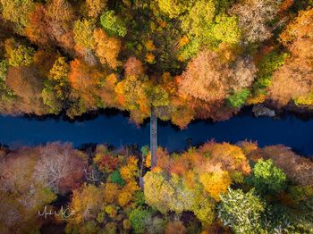 Bridge to Autumn 2, Perthshire Scotland