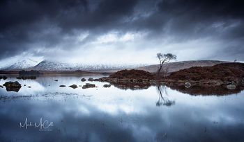 Rannoch Moor Tree Reflections, Glencoe, Scotland