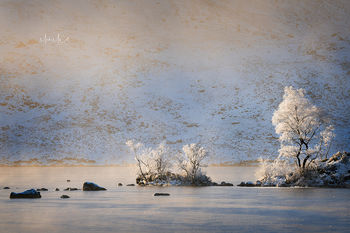 Against the mist, Rannoch Moor, Glencoe, Scotland