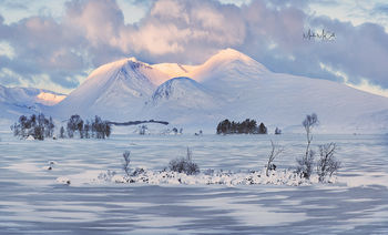 Rannoch Moor Dawn