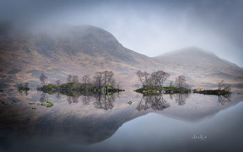 Tree reflections, lochan na h-achlaise, Rannoch moor, Glencoe Scotland