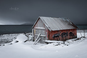 Reindeer Rorbu, Tromso, Arctic Norway