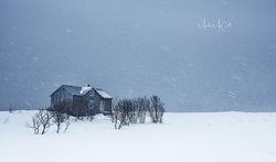 Remote house, Lofoten islands, Norway