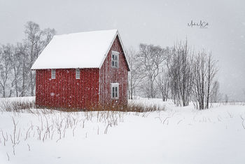 Rorbu in snowstorm, Senja, arctic Norway