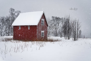 Rorbu in snowstorm, Senja, arctic Norway