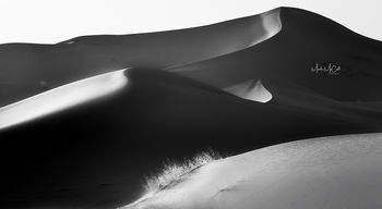 Moroccan Sahara