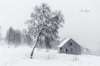Abandoned house, Senja, Arctic Norway