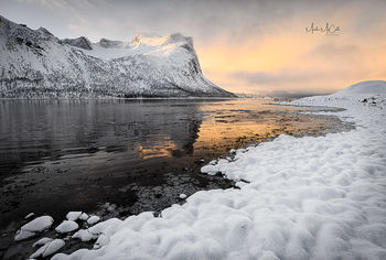 Arctic gold, Senja, Norway