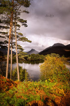 Autumn Colours, Stac Pollaidh, Assynt, Scotland