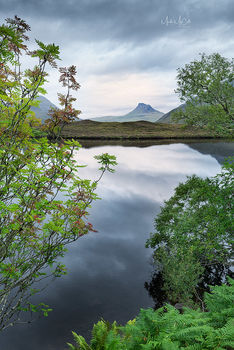 Star Pollaidh revealed, Assynt, Scotland