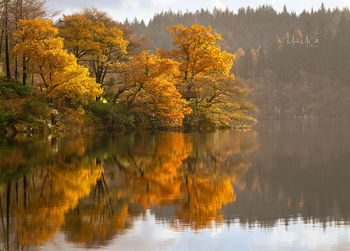 Autumn colours, Loch Ard, Scotland