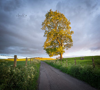 Golden moment, Ayrshire, Scotland