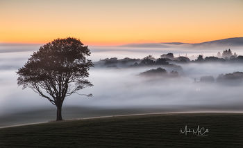 Against the Mist, West Kilbride, Ayrshire