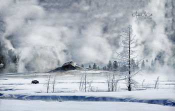 Apocalypse, Yellowstone NP, Montana