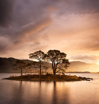 Island of trees at sunrise, Loch Maree, Wester Ross, Scotland