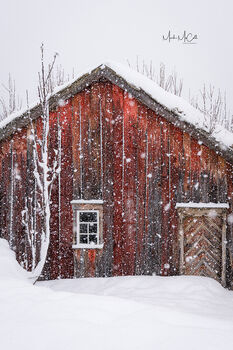 Arctic house in snowstorm, Tromso, Norway