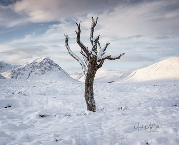 Torn and twisted, Glencoe, Scotland