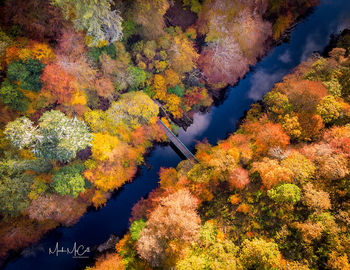 Bridge to Autumn, Perthshire Scotland