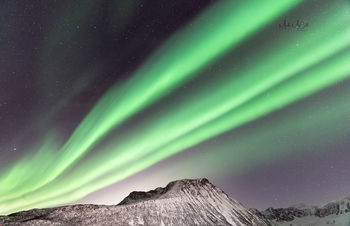 Aurora near Tromvik, Arctic Norway