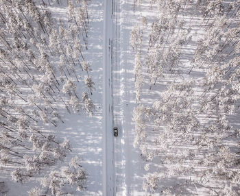 Above the frozen forest, Arctic Norway