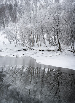 Winter trees and reflections, Arctic Norway