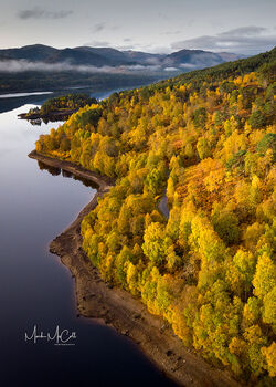 Golden Glen Affric, Scotland
