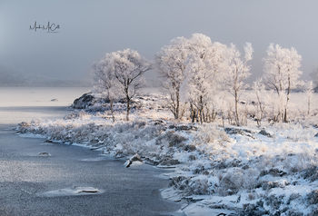 Hoarfrost and mist, Loch Ba, Rannoch Moor, Scotland