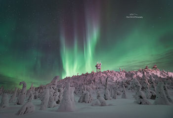Frozen forest aurora, Finland