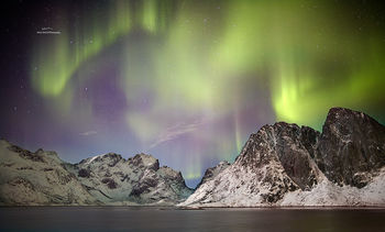 Aurora borealis over Lofoten islands