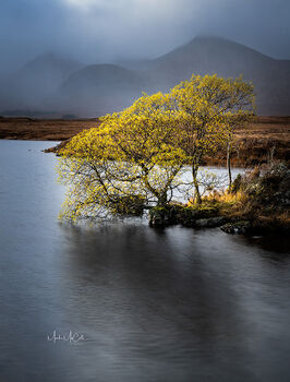 Autumn colours, Rannoch Moor, Scotland