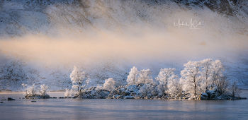 Clearing mist, Rannoch Moor, Glencoe, Scotland