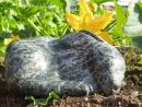 Leveret in the courgettes