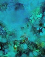 Under The Sea 002 80 x 90 cm oil