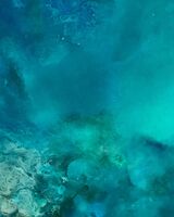 Under The Sea Ocean 81 x 100 cm oil