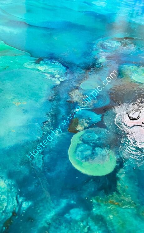 Under The Sea Studio Detail