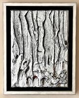 Woods