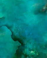 Under The Sea 019 61 x 91 cm oil