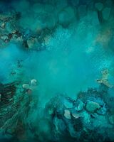 Under The Sea 023 96 x 96 cm oil