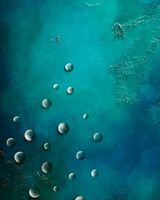 Under The Sea 031 50 x 76 cm oil